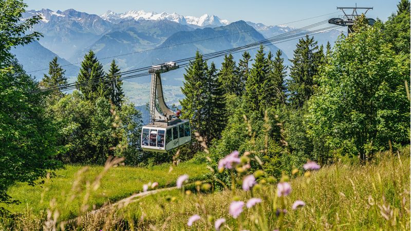 Luftseilbahn Weggis-Rigi Kaltbad