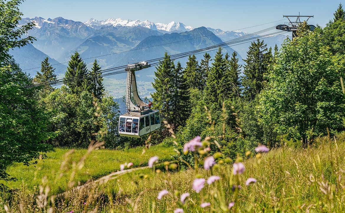 Luftseilbahn Weggis-Rigi Kaltbad