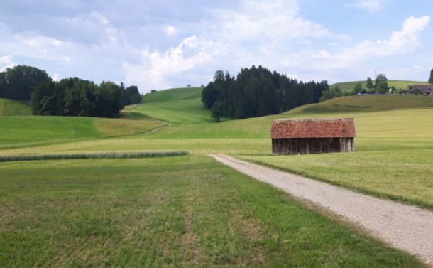 Engelprächtigen