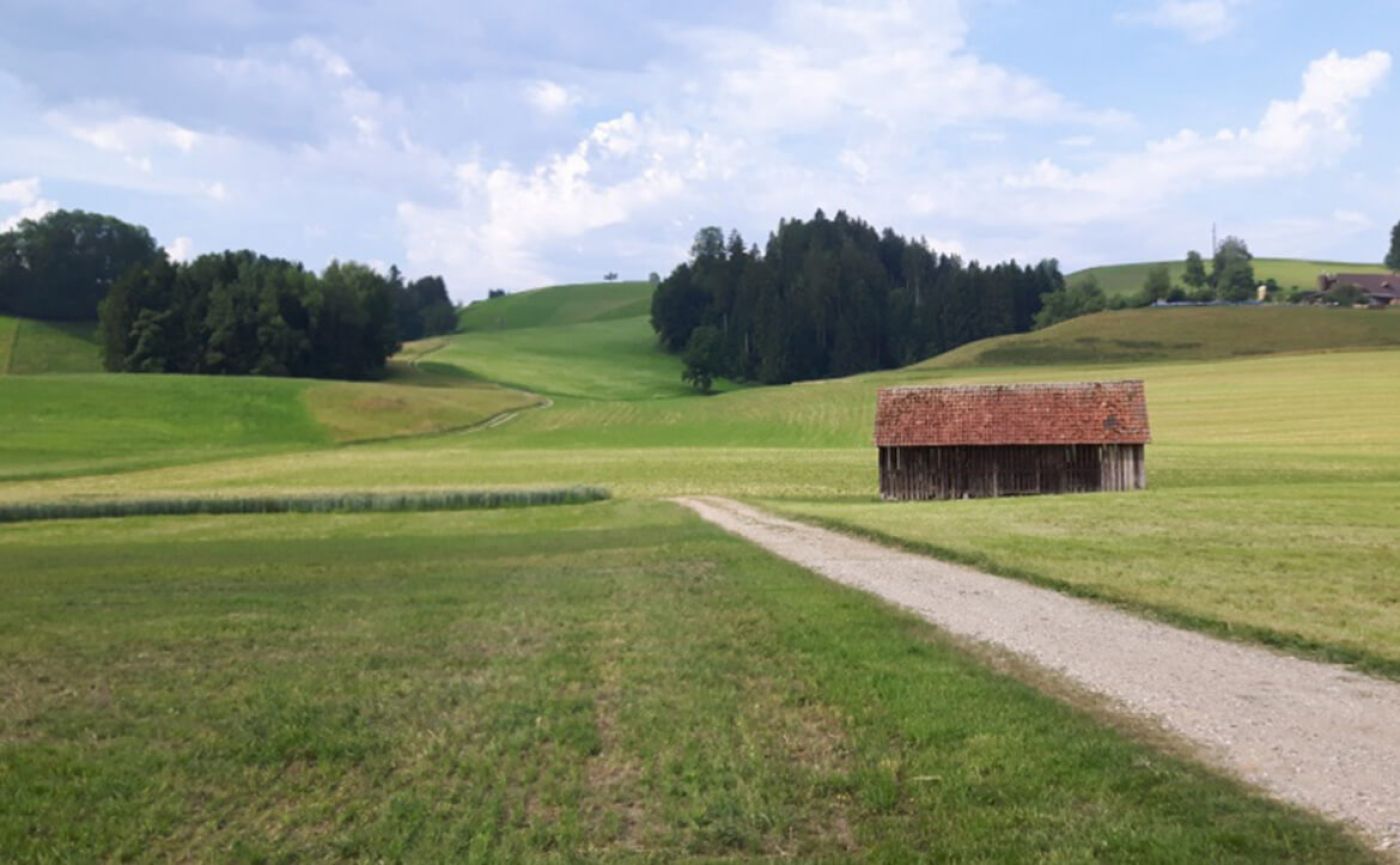 Engelprächtigen