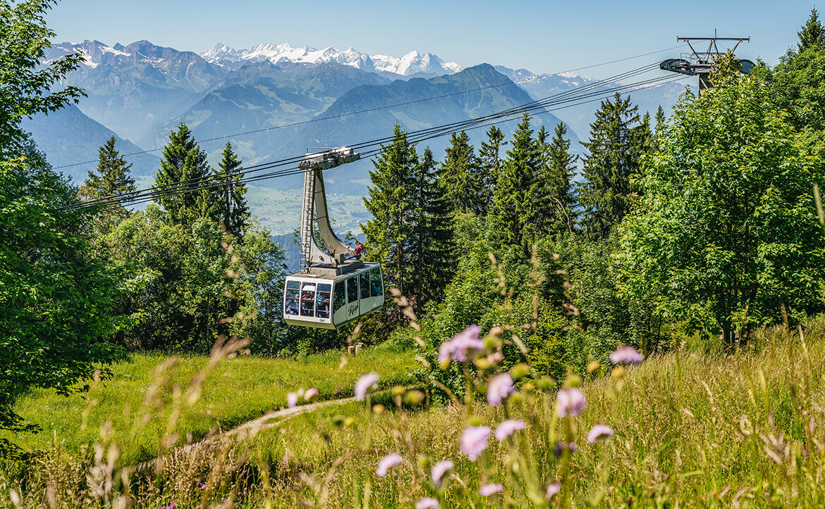 Luftseilbahn Weggis-Rigi Kaltbad