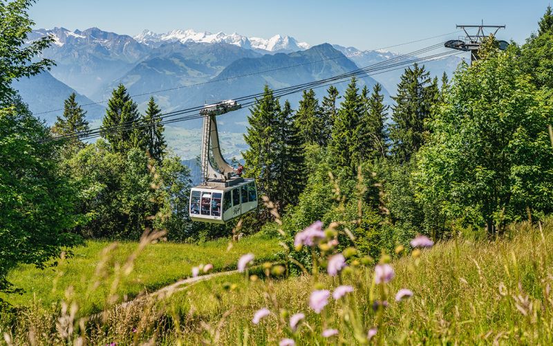 Luftseilbahn Weggis-Rigi Kaltbad